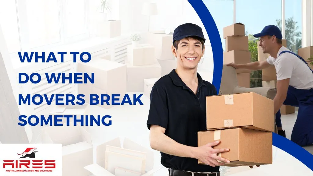 What to Do When Movers Break Something